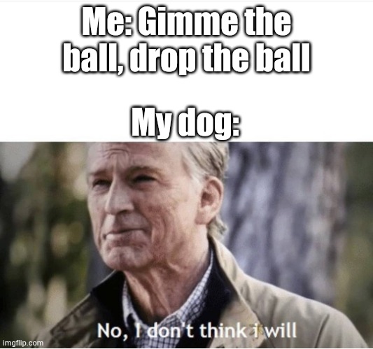 No I don't think I will | Me: Gimme the ball, drop the ball; My dog: | image tagged in no i don't think i will | made w/ Imgflip meme maker