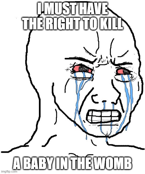 Babies have rights 2 | I MUST HAVE THE RIGHT TO KILL; A BABY IN THE WOMB | image tagged in crying liberal | made w/ Imgflip meme maker