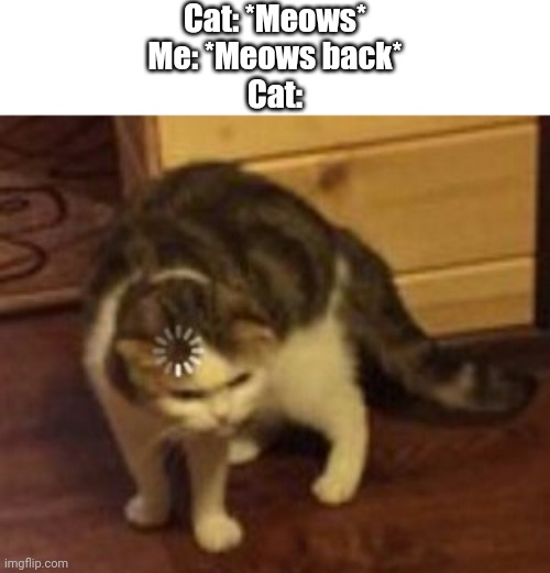 Hmm? | Cat: *Meows*
Me: *Meows back*
Cat: | image tagged in loading cat,memes,funny | made w/ Imgflip meme maker
