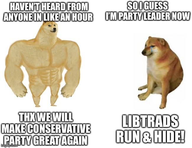 I have ideas for beinging back Conservative Party | SO I GUESS I’M PARTY LEADER NOW; HAVEN’T HEARD FROM ANYONE IN LIKE AN HOUR; THX WE WILL MAKE CONSERVATIVE PARTY GREAT AGAIN; LIBTRADS RUN & HIDE! | image tagged in memes,buff doge vs cheems,conservative,party,great,again | made w/ Imgflip meme maker