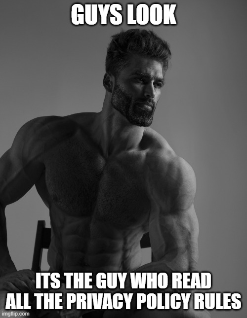 Giga chad | GUYS LOOK; ITS THE GUY WHO READ ALL THE PRIVACY POLICY RULES | image tagged in giga chad | made w/ Imgflip meme maker