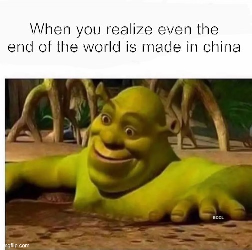 Made in China | When you realize even the end of the world is made in china | image tagged in shrek in the mud | made w/ Imgflip meme maker