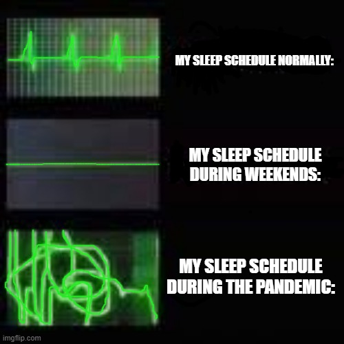 My sleep schedule | MY SLEEP SCHEDULE NORMALLY:; MY SLEEP SCHEDULE DURING WEEKENDS:; MY SLEEP SCHEDULE DURING THE PANDEMIC: | image tagged in heart monitor | made w/ Imgflip meme maker