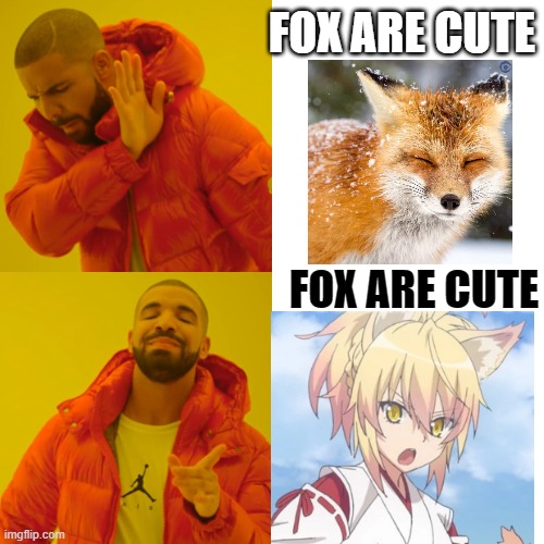 foxes are cute | FOX ARE CUTE; FOX ARE CUTE | image tagged in memes,drake hotline bling | made w/ Imgflip meme maker