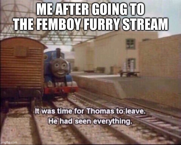 So this is what happens when people don’t touch grass… | ME AFTER GOING TO THE FEMBOY FURRY STREAM | image tagged in it was time for thomas to leave | made w/ Imgflip meme maker