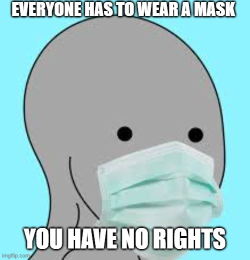 Masked | EVERYONE HAS TO WEAR A MASK YOU HAVE NO RIGHTS | image tagged in masked | made w/ Imgflip meme maker