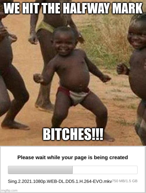 half way | WE HIT THE HALFWAY MARK; BITCHES!!! | image tagged in memes,third world success kid | made w/ Imgflip meme maker