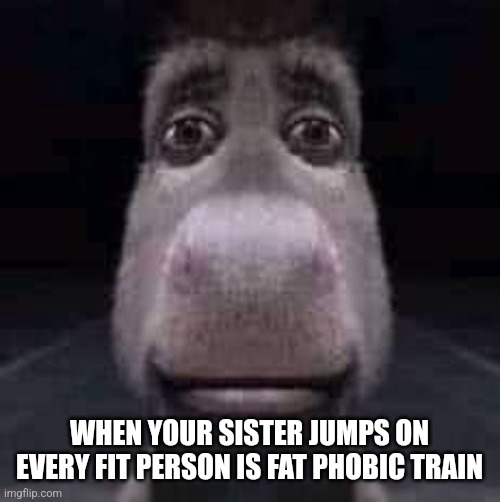 Mmm let's go I guess I have to be fat | WHEN YOUR SISTER JUMPS ON EVERY FIT PERSON IS FAT PHOBIC TRAIN | image tagged in donkey staring | made w/ Imgflip meme maker