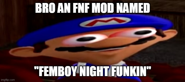 smg4 stare | BRO AN FNF MOD NAMED; "FEMBOY NIGHT FUNKIN" | image tagged in smg4 stare | made w/ Imgflip meme maker