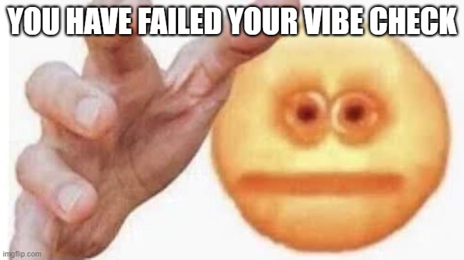 Vibe Check | YOU HAVE FAILED YOUR VIBE CHECK | image tagged in vibe check | made w/ Imgflip meme maker