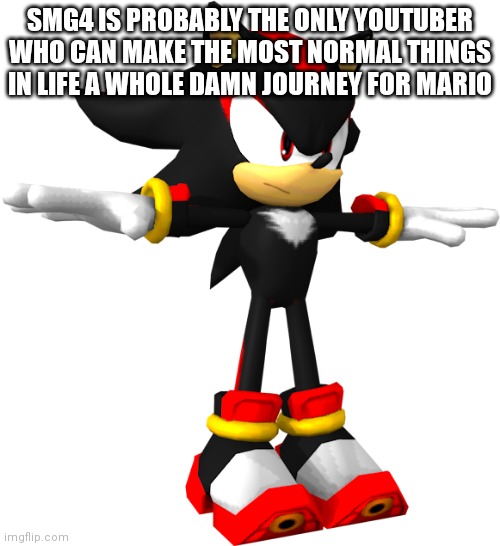 examples: Mario Scratches His Ass, Mario goes to Subway and purchases 1 tuna sub with extra mayo | SMG4 IS PROBABLY THE ONLY YOUTUBER WHO CAN MAKE THE MOST NORMAL THINGS IN LIFE A WHOLE DAMN JOURNEY FOR MARIO | image tagged in shadow the hedgehog t pose | made w/ Imgflip meme maker