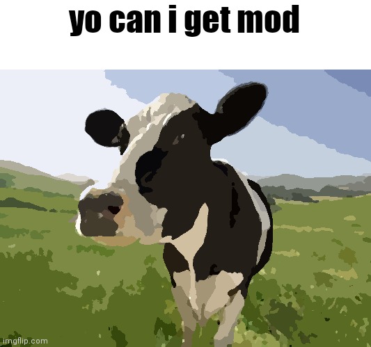 pls? | yo can i get mod | image tagged in cow | made w/ Imgflip meme maker