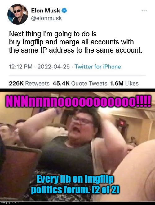 This needs to be done. | Next thing I'm going to do is buy Imgflip and merge all accounts with the same IP address to the same account. NNNnnnnooooooooooo!!!! Every lib on Imgflip politics forum. (2 of 2) | image tagged in elon musk buying company,triggly puff,imgflip,politics,libtards,fake accounts | made w/ Imgflip meme maker