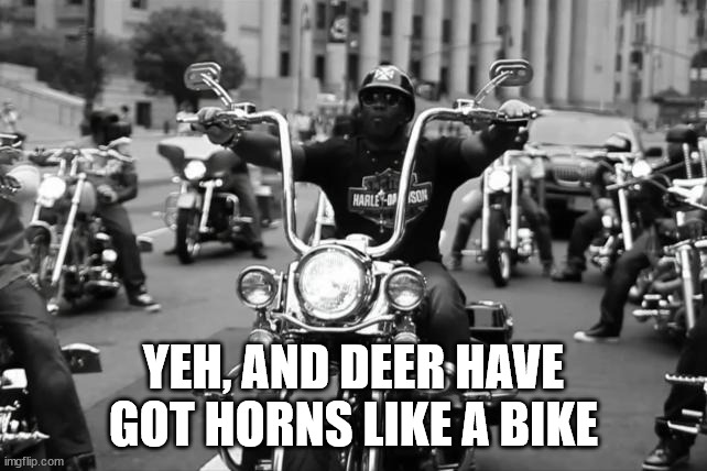 Harley Davidson | YEH, AND DEER HAVE GOT HORNS LIKE A BIKE | image tagged in harley davidson | made w/ Imgflip meme maker