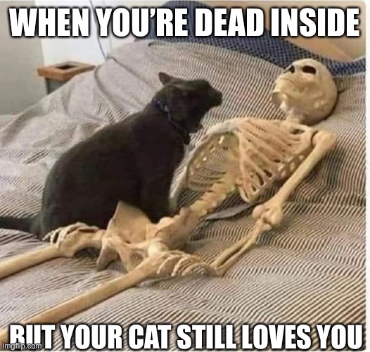 Dead inside | WHEN YOU’RE DEAD INSIDE; BUT YOUR CAT STILL LOVES YOU | image tagged in cat,love,love you | made w/ Imgflip meme maker