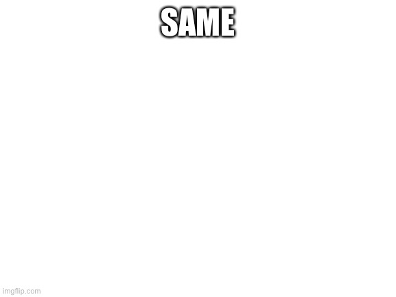 Blank White Template | SAME | image tagged in blank white template | made w/ Imgflip meme maker