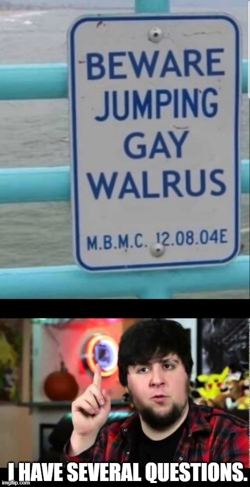 I HAVE SEVERAL QUESTIONS. | image tagged in jontron i have several questions | made w/ Imgflip meme maker