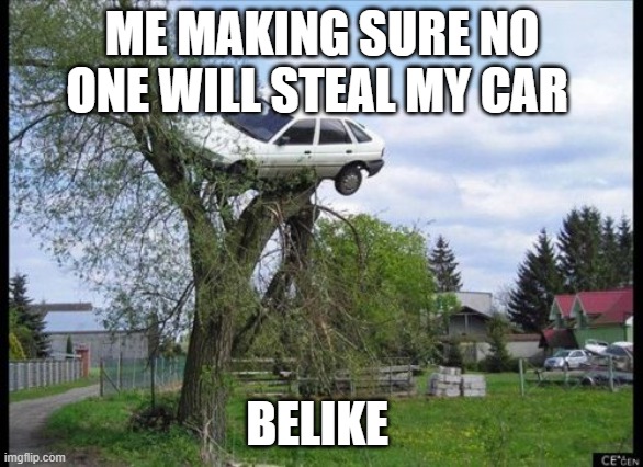 great now my car is stuck... nvm i will just buy a new car | ME MAKING SURE NO ONE WILL STEAL MY CAR; BELIKE | image tagged in memes,secure parking,car | made w/ Imgflip meme maker
