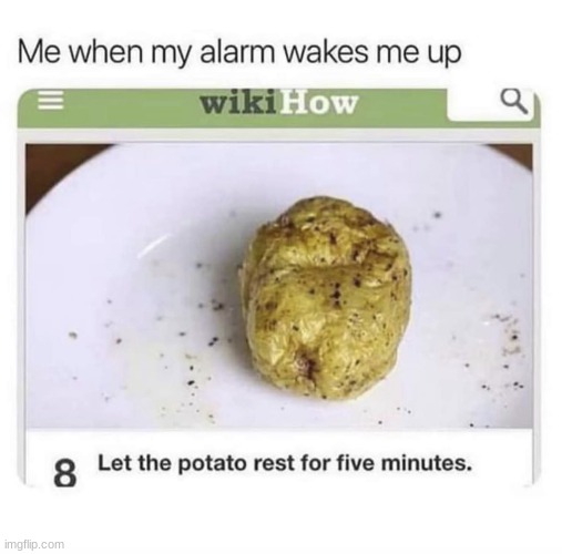 every monday be like: | image tagged in potato rest | made w/ Imgflip meme maker