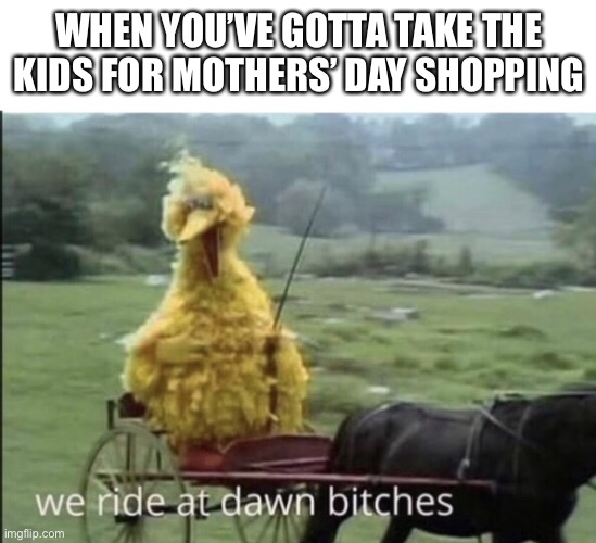Mothers’ Day shopping |  WHEN YOU’VE GOTTA TAKE THE KIDS FOR MOTHERS’ DAY SHOPPING | image tagged in we ride at dawn bitches,mothers day,mother,mum,mom,shopping | made w/ Imgflip meme maker