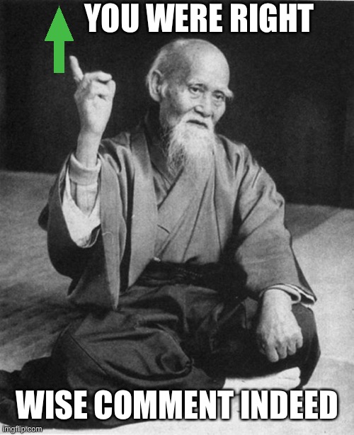 Wisdomous Wise one | YOU WERE RIGHT; WISE COMMENT INDEED | image tagged in wise master,wise,wisdom,wisdomous,upvote | made w/ Imgflip meme maker