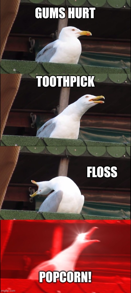 Inhaling Seagull | GUMS HURT; TOOTHPICK; FLOSS; POPCORN! | image tagged in memes,inhaling seagull | made w/ Imgflip meme maker