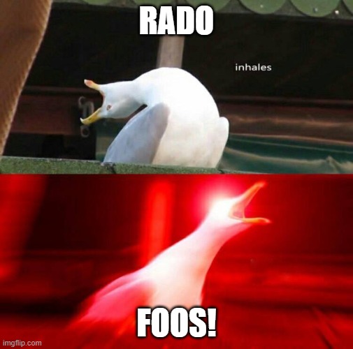 RADO FOOOOOOOOOOOOOOOOOOOOOOOS | RADO; FOOS! | image tagged in inhaling seagull | made w/ Imgflip meme maker