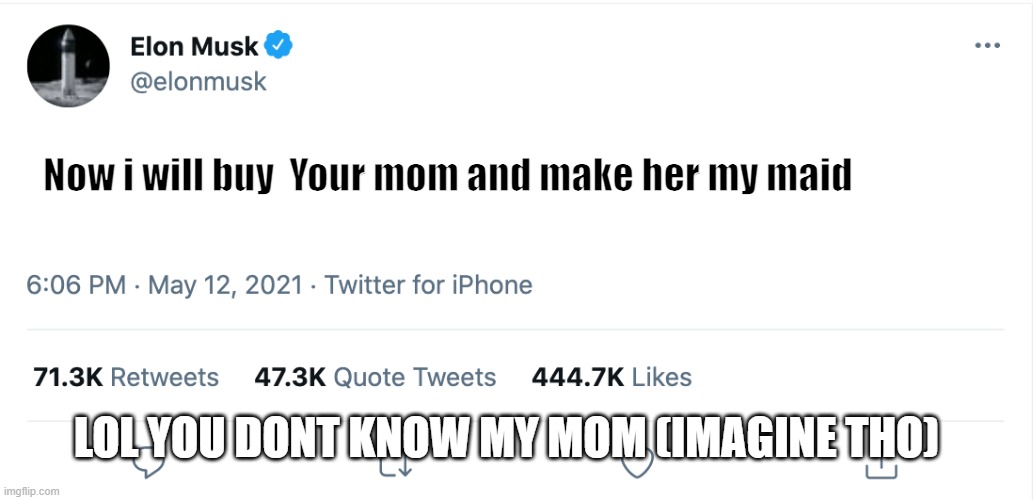 Elon pls dont | Now i will buy  Your mom and make her my maid; LOL YOU DONT KNOW MY MOM (IMAGINE THO) | image tagged in elon musk blank tweet | made w/ Imgflip meme maker