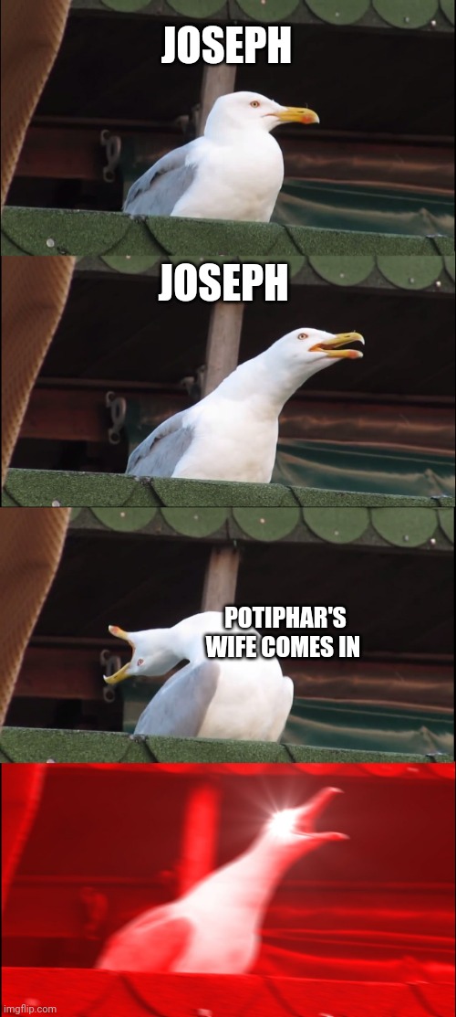 Inhaling Seagull Meme | JOSEPH; JOSEPH; POTIPHAR'S WIFE COMES IN | image tagged in memes,inhaling seagull | made w/ Imgflip meme maker