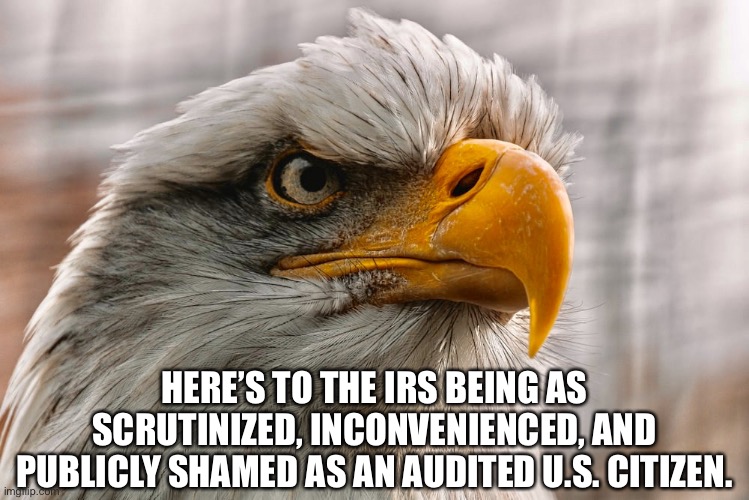 IRS |  HERE’S TO THE IRS BEING AS SCRUTINIZED, INCONVENIENCED, AND PUBLICLY SHAMED AS AN AUDITED U.S. CITIZEN. | image tagged in irs,tax,scrutinised | made w/ Imgflip meme maker