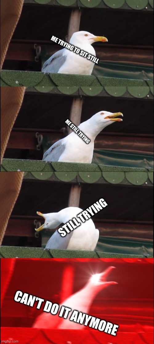 Can't sit still | ME TRYING TO SIT STILL; ME STILL TRYING; STILL TRYING; CAN'T DO IT ANYMORE | image tagged in memes,inhaling seagull | made w/ Imgflip meme maker