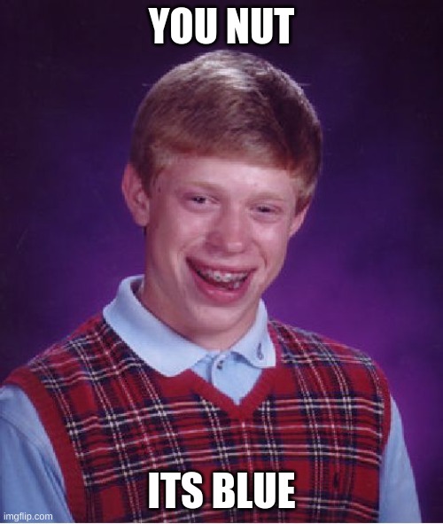 Bad Luck Brian | YOU NUT; ITS BLUE | image tagged in memes,bad luck brian | made w/ Imgflip meme maker