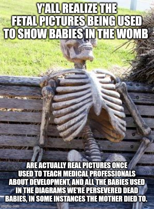Waiting Skeleton | Y'ALL REALIZE THE FETAL PICTURES BEING USED TO SHOW BABIES IN THE WOMB; ARE ACTUALLY REAL PICTURES ONCE USED TO TEACH MEDICAL PROFESSIONALS ABOUT DEVELOPMENT, AND ALL THE BABIES USED IN THE DIAGRAMS WE'RE PERSEVERED DEAD BABIES, IN SOME INSTANCES THE MOTHER DIED TO. | image tagged in memes,waiting skeleton | made w/ Imgflip meme maker