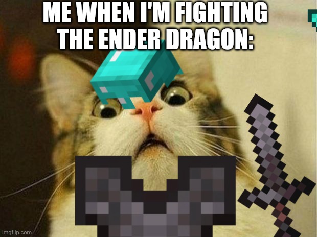 Minecraft | ME WHEN I'M FIGHTING THE ENDER DRAGON: | image tagged in minecraft | made w/ Imgflip meme maker