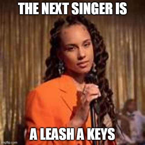 a leash a keys | THE NEXT SINGER IS; A LEASH A KEYS | image tagged in lol,memes,funny,cats,all lives matter | made w/ Imgflip meme maker