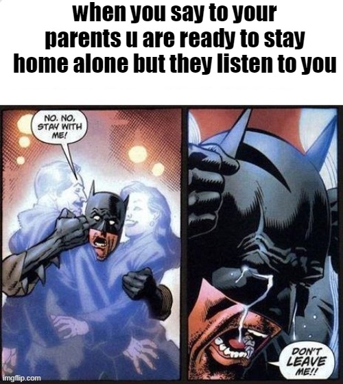happend to me the eas alarm went off XD | when you say to your parents u are ready to stay home alone but they listen to you | image tagged in cats,funny,memes,ukrainian lives matter,follow me | made w/ Imgflip meme maker