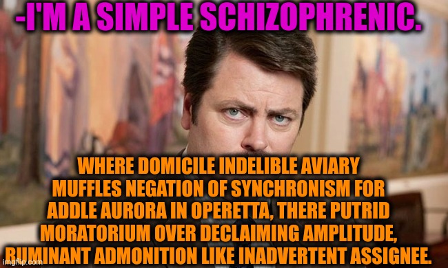 -In my words. | -I'M A SIMPLE SCHIZOPHRENIC. WHERE DOMICILE INDELIBLE AVIARY MUFFLES NEGATION OF SYNCHRONISM FOR ADDLE AURORA IN OPERETTA, THERE PUTRID MORATORIUM OVER DECLAIMING AMPLITUDE, RUMINANT ADMONITION LIKE INADVERTENT ASSIGNEE. | image tagged in i'm a simple man,schizophrenia,ron swanson,mental illness,prescription,meds | made w/ Imgflip meme maker