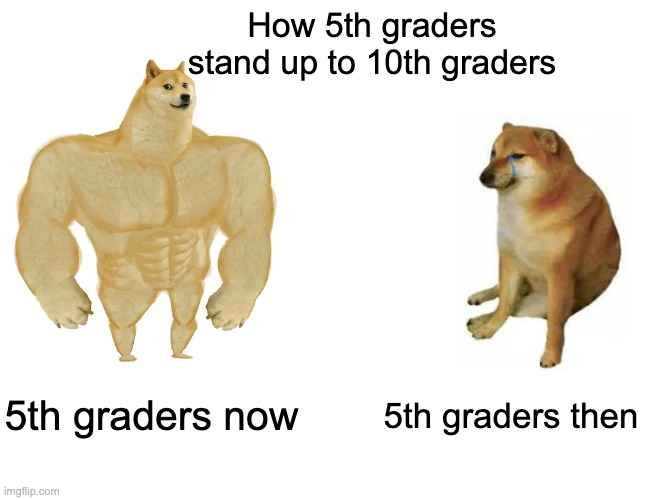 Buff Doge vs. Cheems Meme | How 5th graders stand up to 10th graders; 5th graders now; 5th graders then | image tagged in memes,buff doge vs cheems | made w/ Imgflip meme maker