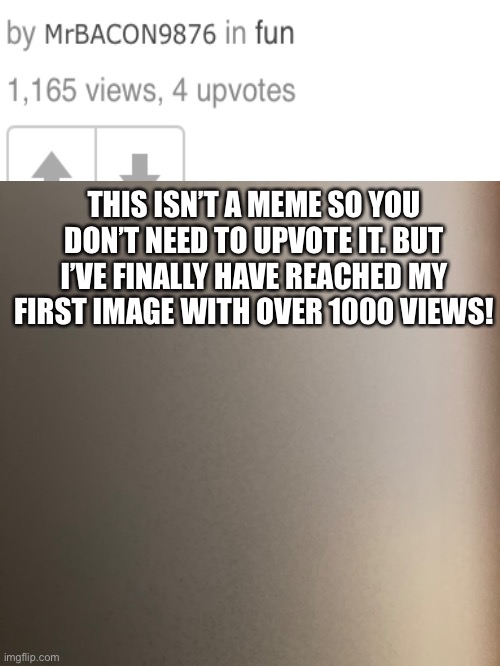 Not a meme, but a thank you | THIS ISN’T A MEME SO YOU DON’T NEED TO UPVOTE IT. BUT I’VE FINALLY HAVE REACHED MY FIRST IMAGE WITH OVER 1000 VIEWS! | image tagged in thank you | made w/ Imgflip meme maker