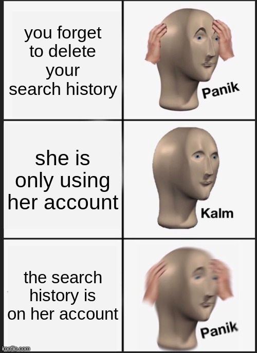 panik help me | you forget to delete your search history; she is only using her account; the search history is on her account | image tagged in memes,panik kalm panik | made w/ Imgflip meme maker