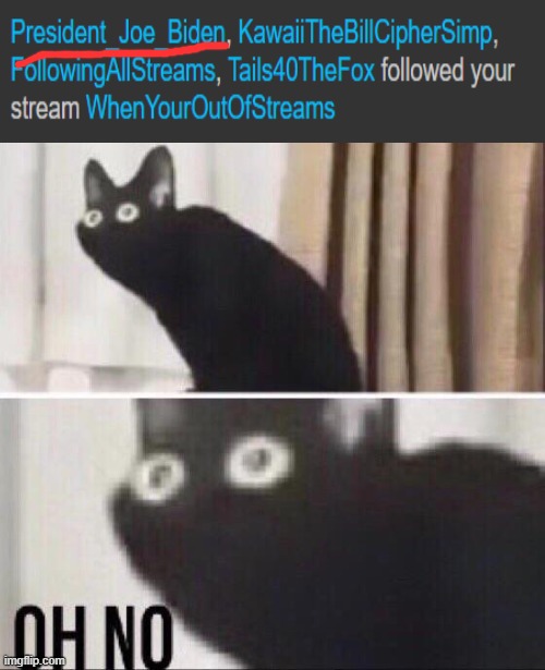 Oh no cat | image tagged in oh no cat | made w/ Imgflip meme maker