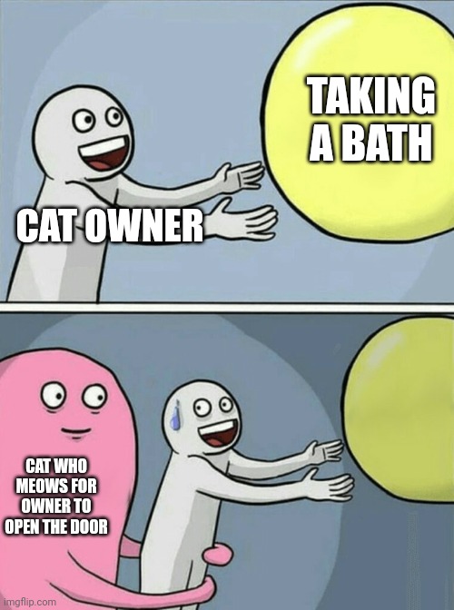 Running Away Balloon Meme | TAKING A BATH; CAT OWNER; CAT WHO MEOWS FOR OWNER TO OPEN THE DOOR | image tagged in memes,running away balloon | made w/ Imgflip meme maker