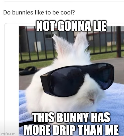 Drippy bunny | NOT GONNA LIE; THIS BUNNY HAS MORE DRIP THAN ME | image tagged in bunny,cute bunny | made w/ Imgflip meme maker