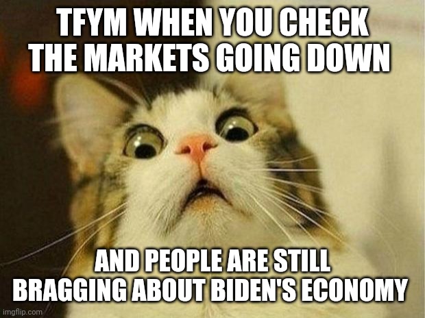 Scared Cat | TFYM WHEN YOU CHECK THE MARKETS GOING DOWN; AND PEOPLE ARE STILL BRAGGING ABOUT BIDEN'S ECONOMY | image tagged in memes,scared cat | made w/ Imgflip meme maker