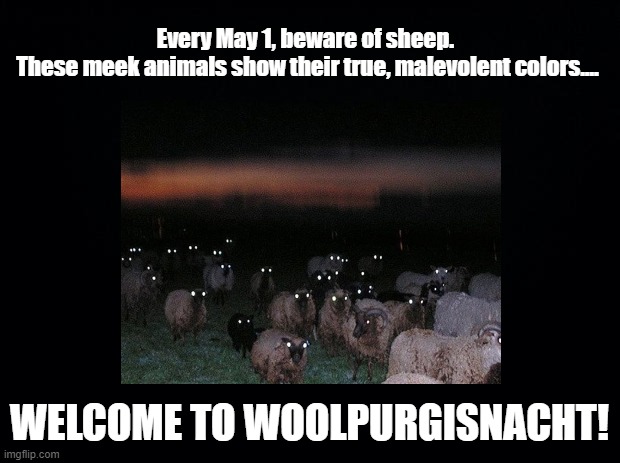 Woolpurgisnacht |  Every May 1, beware of sheep. 
These meek animals show their true, malevolent colors.... WELCOME TO WOOLPURGISNACHT! | image tagged in sheep,puns,walpurgis | made w/ Imgflip meme maker