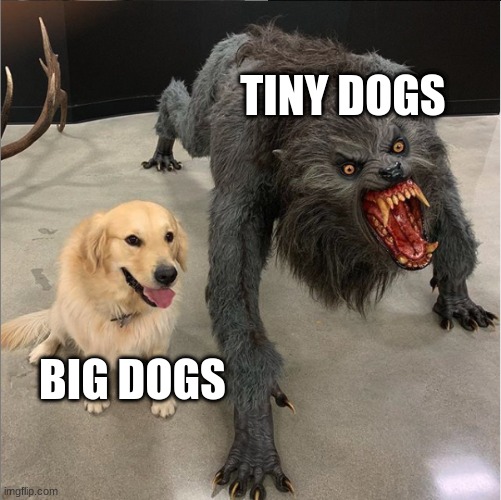 dog vs werewolf | TINY DOGS; BIG DOGS | image tagged in dog vs werewolf | made w/ Imgflip meme maker