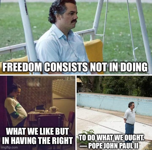 Freedom | FREEDOM CONSISTS NOT IN DOING; WHAT WE LIKE BUT IN HAVING THE RIGHT; TO DO WHAT WE OUGHT.
— POPE JOHN PAUL II | image tagged in memes,sad pablo escobar | made w/ Imgflip meme maker