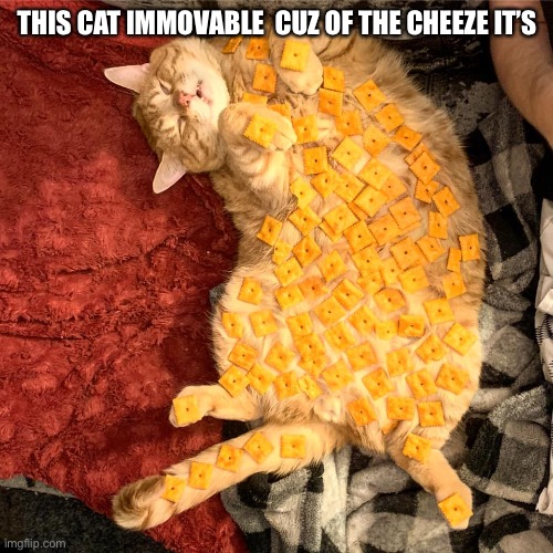 cat n crackers | THIS CAT IMMOVABLE  CUZ OF THE CHEEZE IT’S | image tagged in cat n crackers | made w/ Imgflip meme maker