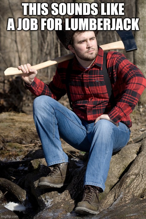 Solemn Lumberjack Meme | THIS SOUNDS LIKE A JOB FOR LUMBERJACK | image tagged in memes,solemn lumberjack | made w/ Imgflip meme maker