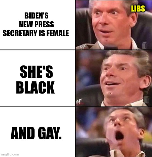 A grand slam in the mind of libs. | BIDEN'S NEW PRESS SECRETARY IS FEMALE; LIBS; SHE'S BLACK; AND GAY. | image tagged in vince mcmahon | made w/ Imgflip meme maker